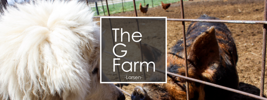 The G Farm